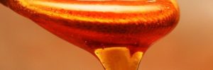 measurement of dynamic viscosity
