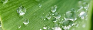viscometer help industries to reduce their environmental impact